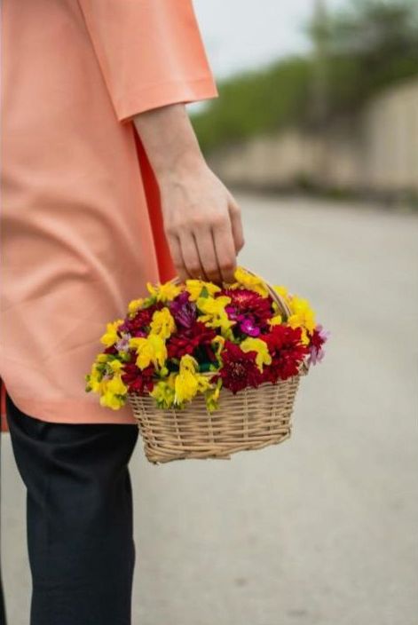 Assorted floristry tools and blooms