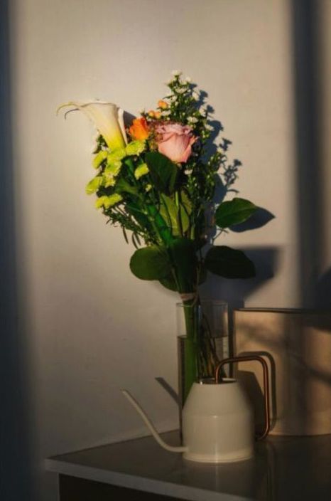 Basic flower care