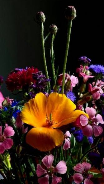 Bouquet construction