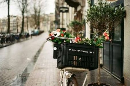 Market bunches