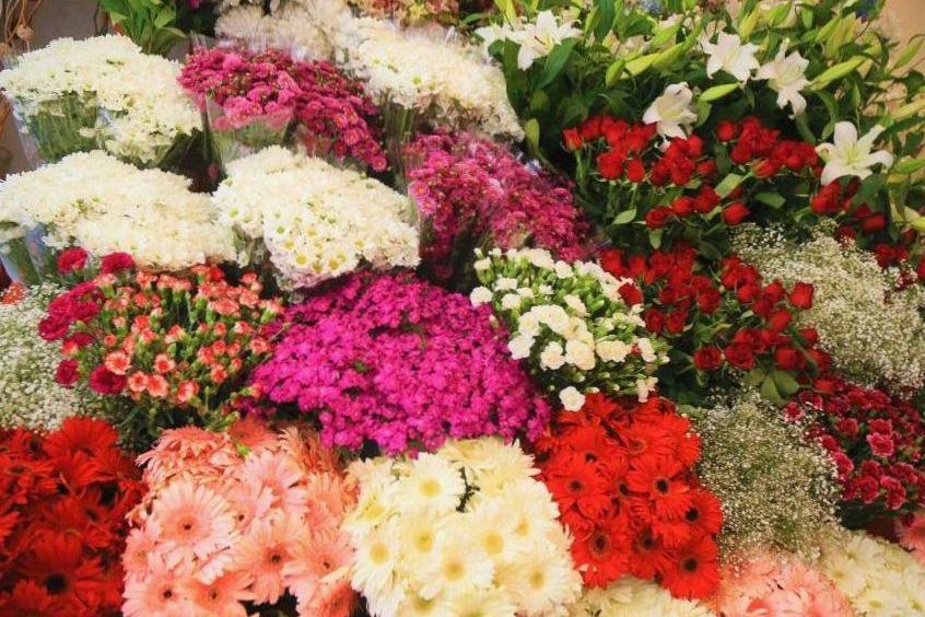 Ceremony blooms